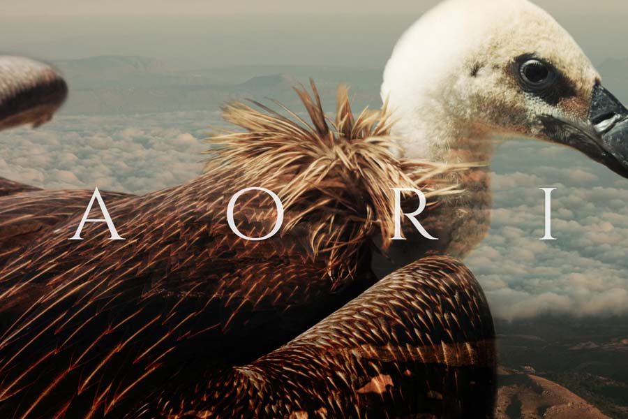 Video of AORI by Loukianos Arnaoutakis